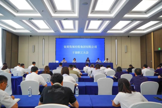 230901宜發(fā)展集團公司專題傳達習近平總書記對四川涼山州金陽縣山洪災害作出的重要指示精神及省市會議精神145.png